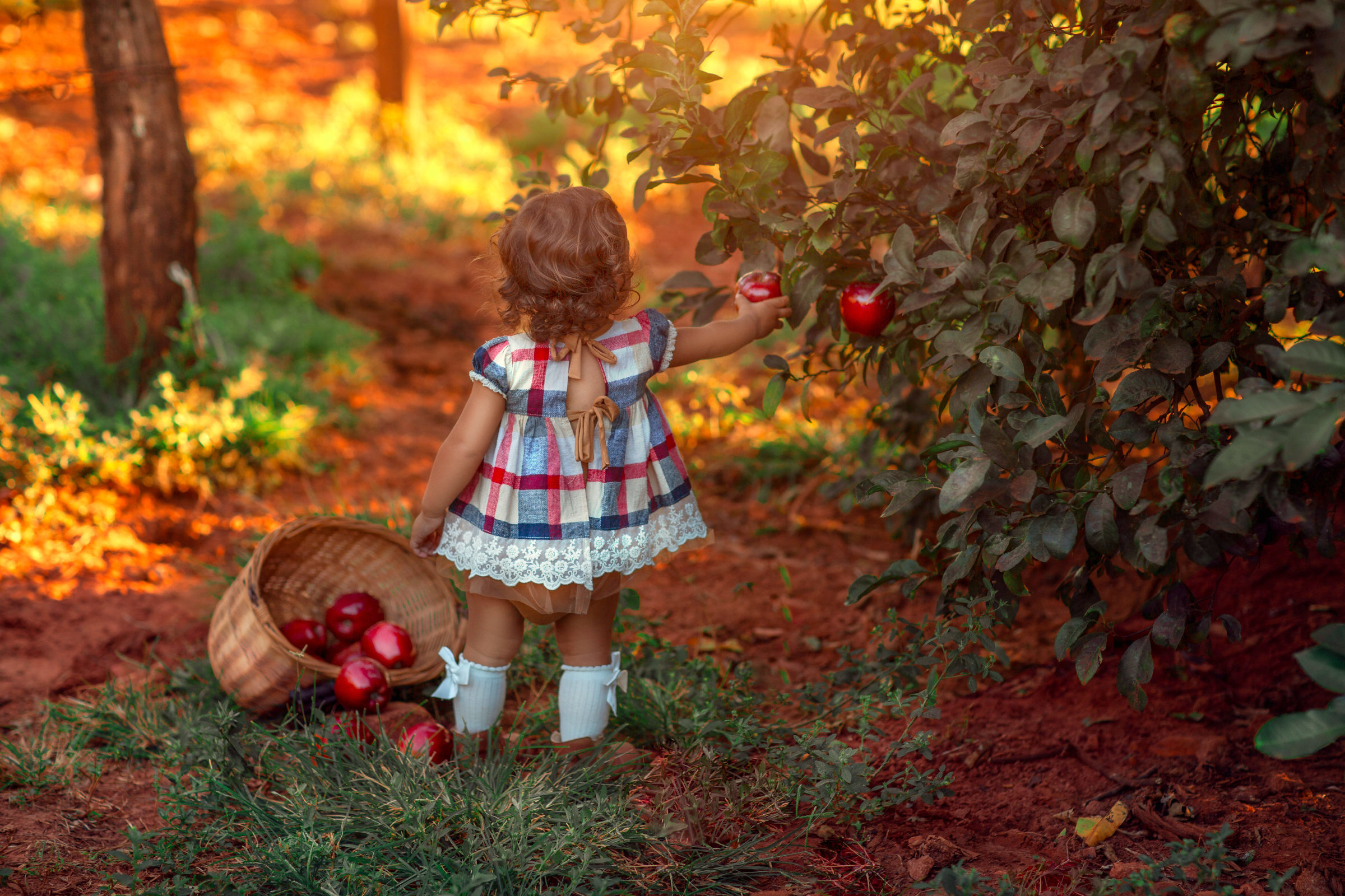 Foto de Regiane Pavan Bambini 14