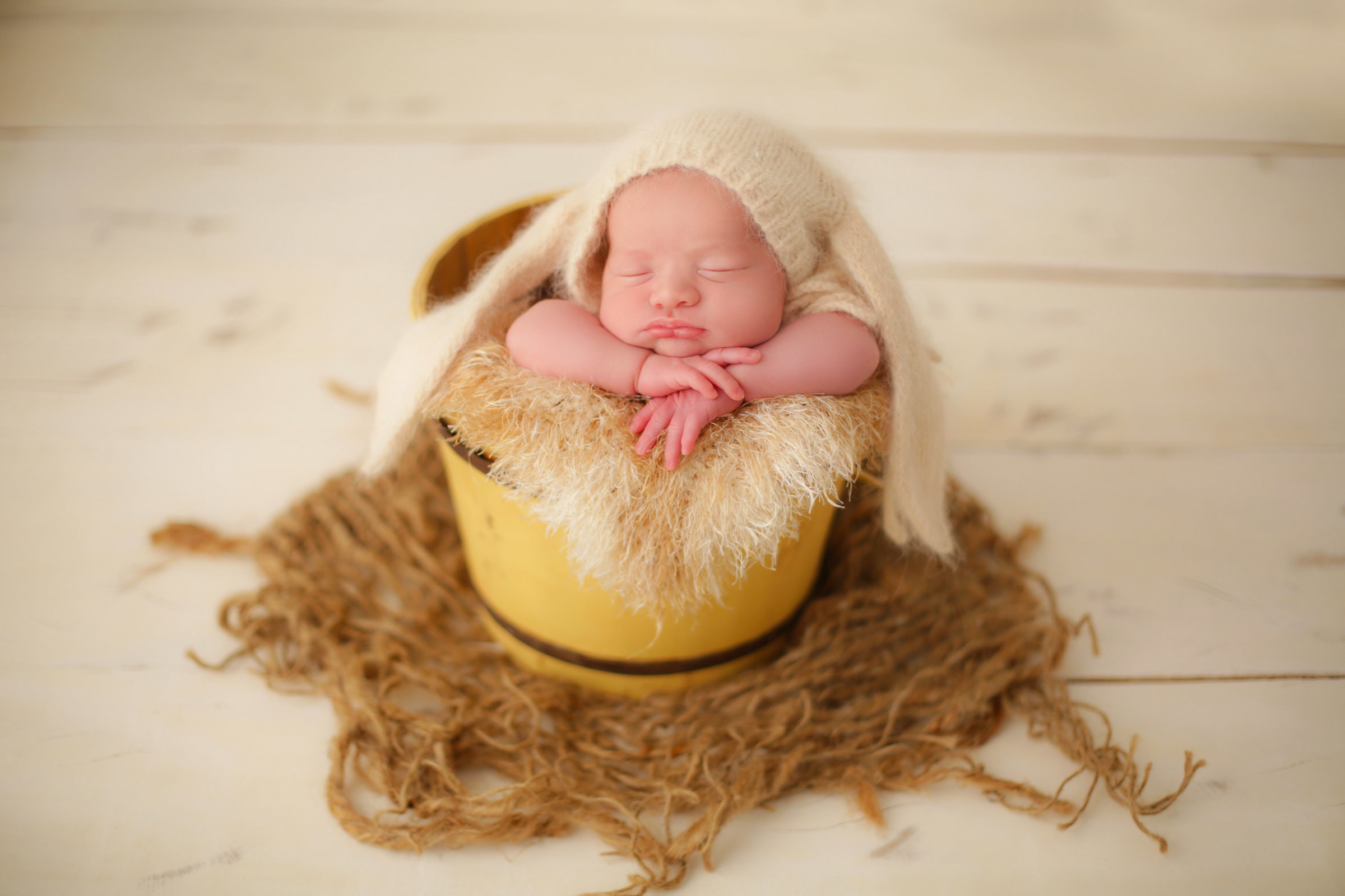 Foto de Regiane Pavan Bambini 11